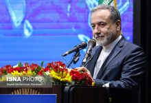 عراقچی: کمتر از ۵۰ درصد ظرفیت‌های کشورهای همسایه را مورد استفاده قرار داده‌ایم