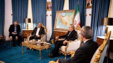 لاریجانی: روابط ایران و پاکستان میتواند به سطح شراکت راهبردی ارتقا یابد