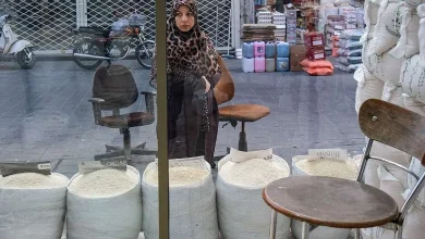 معمای برنج پاکستانی؛ دلار ۲۸ هزار تومانی چطور ۲۰۰ هزار تومان میشود؟