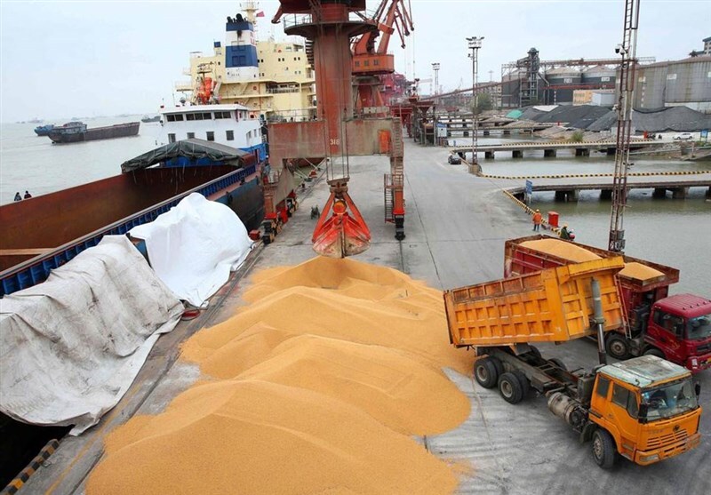 هشدار سازمان بازرسی به وزارت جهاد کشاورزی درباره نهادههای دامی: اقدام خالی فروشی واردکنندگان باعث نارضایتی واحدهای تولیدی شده / با متخلفان از طریق تجدیدنظر در سهمیه و کاهش آن طی دورههای آتی برخورد کنید