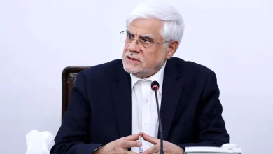 انتقاد تند عارف از متهم کردن نخبگان به جاسوسی