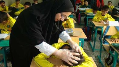 نفوذ مهمانی ناخوانده به مدارس؛ انجام آموزش‌های فصلی برای پیشگیری از شپش /یک متخصص پوست و مو: موارد ابتلاء معمولاً در ماه‌های آغازین سال تحصیلی و پیش از زمستان افزایش می‌یابد