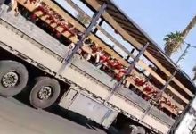 واکنش آموزش و پرورش جهرم به جابه‌جایی دانش‌آموزان با کامیون حمل دام: این اقدام توسط یک آموزشگاه غیر دولتی و بدون دریافت مجوز انجام شده/ وسیله نقلیه مورد استفاده، متعلق به اولیای یکی از دانش‌آموزان مدرسه است