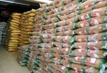 پلیس: شناسایی و کشف انبار نگهداری ۲ هزار کیسه برنج خارجی قاچاق در بندر عباس