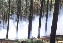 منابع طبیعی: حریق دو هکتاری در جنگل های آستارا مهار شد