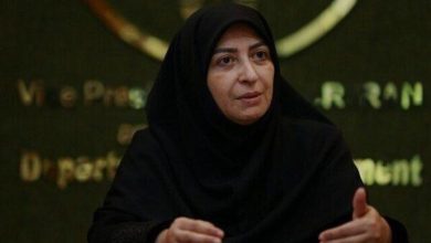 رونمایی از سند سفر ۵۰ میلیاردتومانی شینا انصاری به برزیل(عکس)