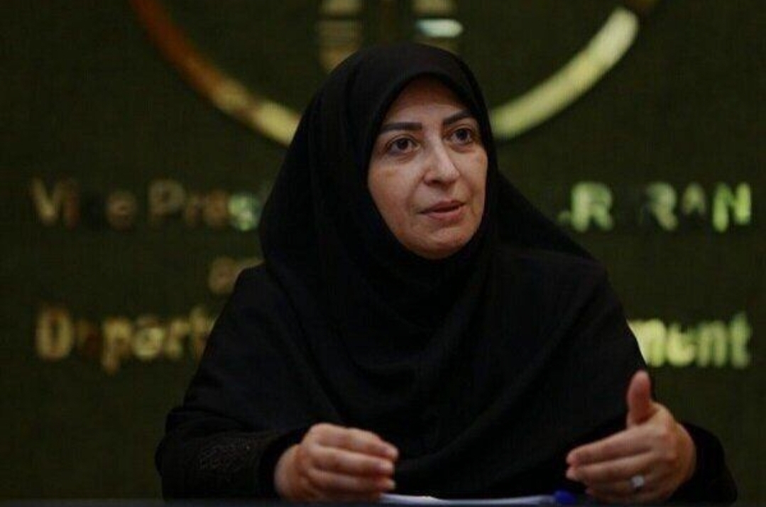 رونمایی از سند سفر ۵۰ میلیاردتومانی شینا انصاری به برزیل(عکس)