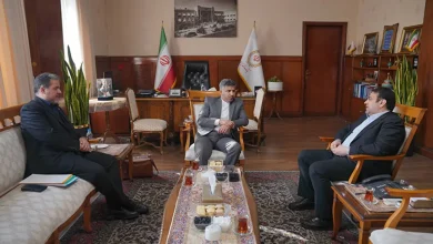 برنامه‌ریزی برای تقویت تسهیلات خرد / تأکید مدیرعامل بانک ملی در دیدارهای پارلمانی