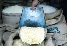 قیمت برنج رسما اعلام شد/ راد: برنج ارزان از این تاریخ وارد بازار می‌شود