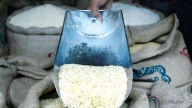 قیمت برنج رسما اعلام شد/ راد: برنج ارزان از این تاریخ وارد بازار میشود