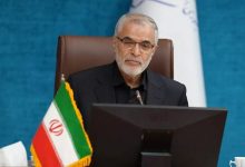 اظهارات معاون امنیتی وزارت کشور درباره تاثیر خروج اتباع غیرقانونی بر کاهش جرایم