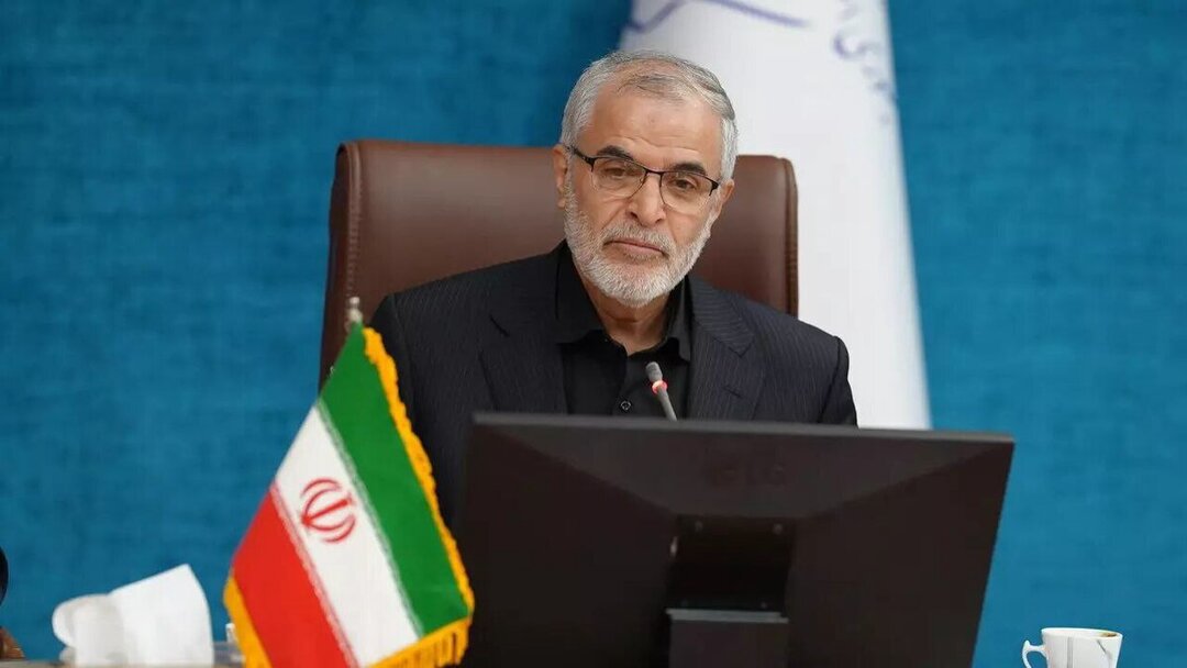 اظهارات معاون امنیتی وزارت کشور درباره تاثیر خروج اتباع غیرقانونی بر کاهش جرایم