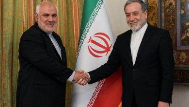 دیدار سفیر جدید ایران در هند با عراقچی