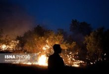 آتش سوزی گسترده در جنگل‌های جاده چالوس/ درخواست محیط‌زیست برای اعزام فوری بالگرد