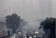 منشأ «مه‏‏‏‏‏‌دود» شهرهای شمالی چیست؟