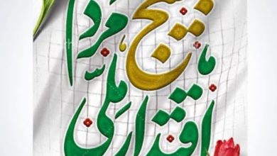 کارکرد بسیج در زمان جنگ و پساجنگ چیست؟ / تفکر بسیجی در منطقه و جهان تسری یافته