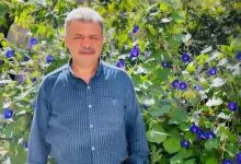 پیام تسلیت موسی‌زاده و اعضای هیات مدیره کانون انجمن‌های صنفی کارگران استان تهران به صادق‌زاده