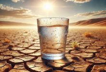 باید برای شرایط بحران آبی در تهران آماده شویم / پیش‌بینی‌ها نشان می‌دهد تا پایان پاییز هیچ بارشی در تهران رخ ندهد