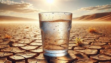 باید برای شرایط بحران آبی در تهران آماده شویم / پیشبینیها نشان میدهد تا پایان پاییز هیچ بارشی در تهران رخ ندهد