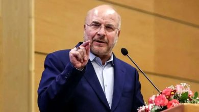 انتقاد شدید قالیباف از وزارت کشاورزی: عملاً به تجارت محدود شده