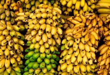 اختلال در سامانه گمرکی هزار تُن موز و سیب را در معرض فساد قرار داد