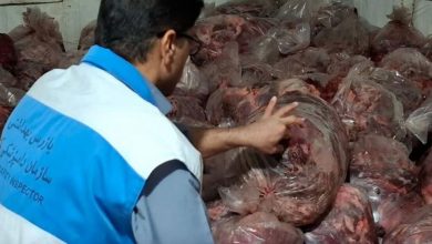 دامپزشکی: توقیف هزار و ۵۰۰ کیلوگرم گوشت مخلوط اسب و گاو در یک واحد بسته‌بندی