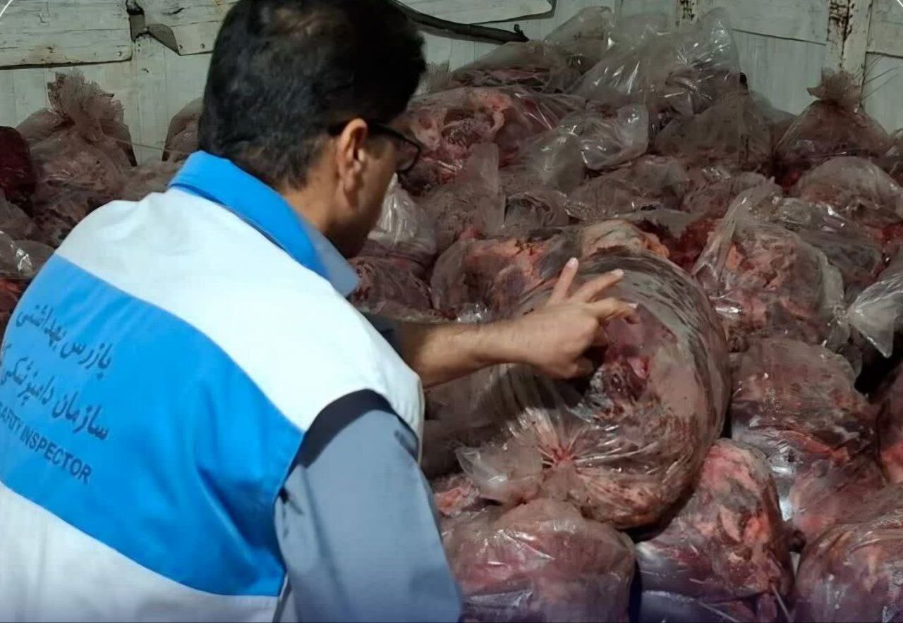 دامپزشکی: توقیف هزار و ۵۰۰ کیلوگرم گوشت مخلوط اسب و گاو در یک واحد بسته‌بندی