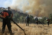 مدیریت بحران مازندران: در ۶ روز اخیر ۶۵ سورتی پرواز برای اطفای حریق در الیت انجام شده است