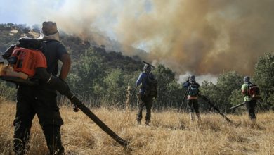 مدیریت بحران مازندران: در ۶ روز اخیر ۶۵ سورتی پرواز برای اطفای حریق در الیت انجام شده است