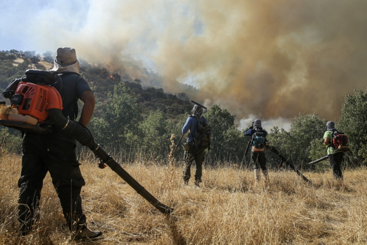 مدیریت بحران مازندران: در ۶ روز اخیر ۶۵ سورتی پرواز برای اطفای حریق در الیت انجام شده است