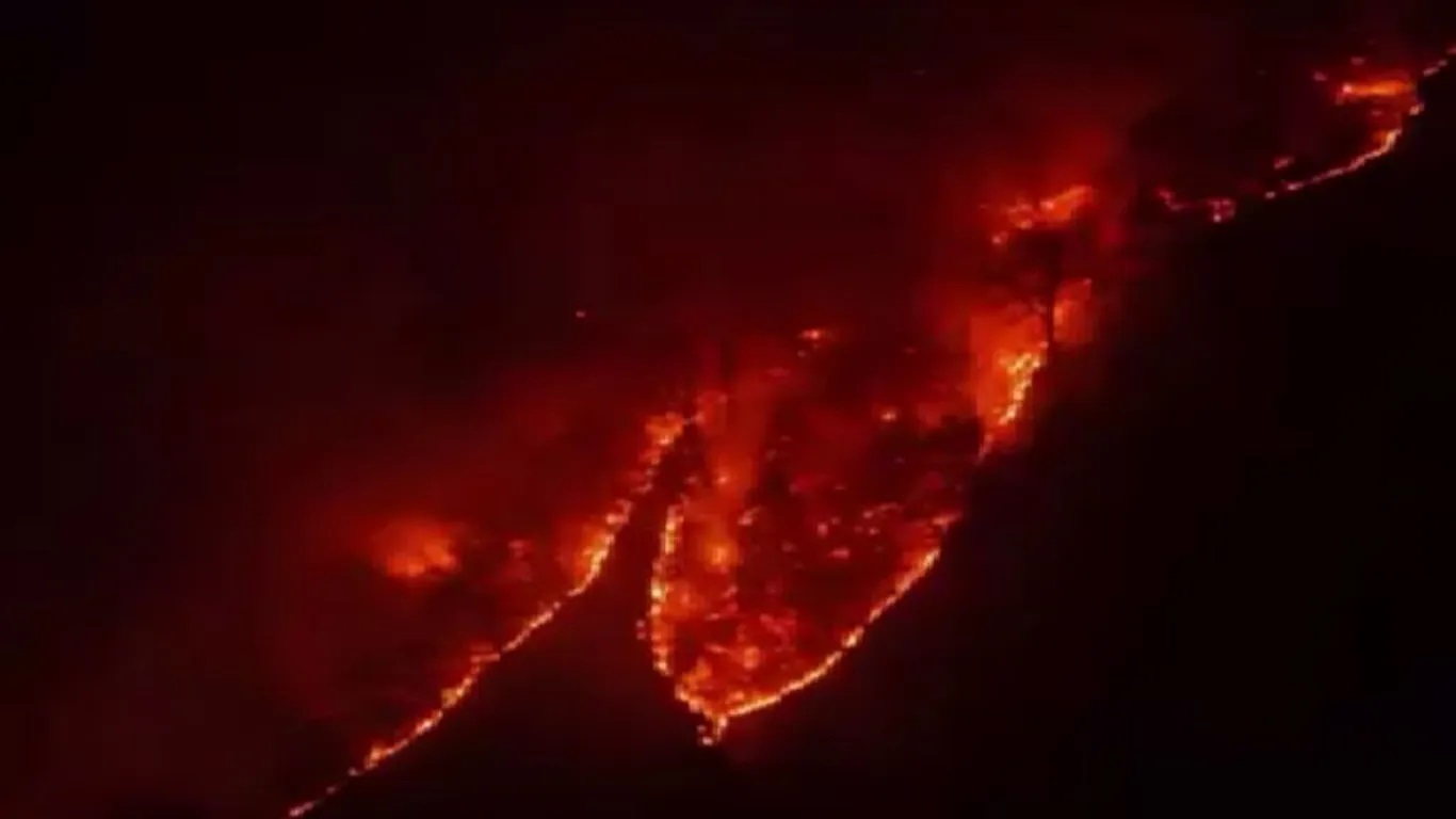 ادامه حریق در جنگل های هیرکانی پس از ۲۰ روز؛ پنج بالگرد و یک فروند هواپیمای ایلیوشین به منطقه اعزام شد / مدیر کل بحران گیلان: طی روزهای آینده عدم بارش، افزایش دما و وزش باد گرم احتمال گسترش آتشسوزی را افزایش میدهد / انتقال چهار مصدوم حادثه آتشسوزی به مراکز درمانی با بالگرد