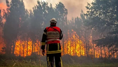 دلیل پیشرفت آتش هیرکانی از زبان نماینده بابل