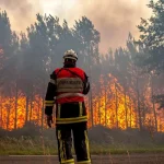 خبر جدید نماینده مجلس از آتش‌سوزی الیت/ ترکیه وارد عمل شد، هواپیمای روسی در راه است