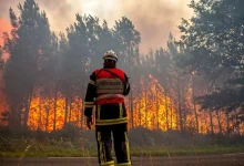 خبر جدید نماینده مجلس از آتش‌سوزی الیت/ ترکیه وارد عمل شد، هواپیمای روسی در راه است