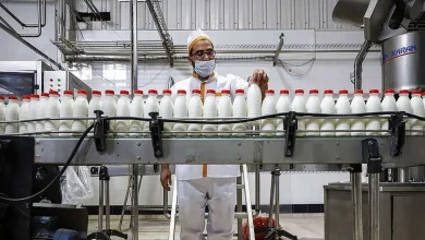 شوک به بازار لبنیات؛ ماست و پنیر گران شدند