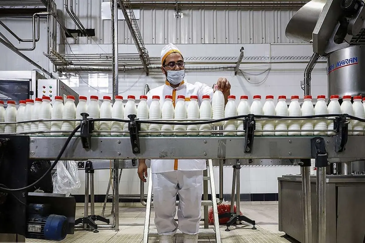 شوک به بازار لبنیات؛ ماست و پنیر گران شدند