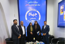 گلپور: نگاه سنتی به بازار کار موجب تضعیف امنیت شغلی آزادکاران شده است