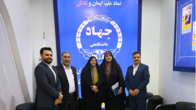 گلپور: نگاه سنتی به بازار کار موجب تضعیف امنیت شغلی آزادکاران شده است