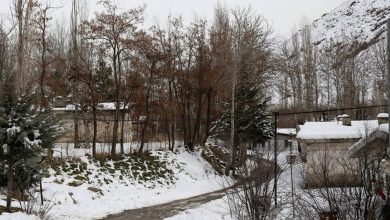 سه‌شنبه سرد در انتظار تهرانی‌ها