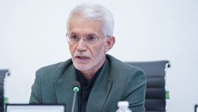 صحبت‌های معاون وزیر درباره مدرک تحصیلی رئیس فدراسیون بدنسازی