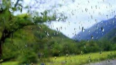 تنش آبی در تهران بالاخره تمام شد؟ / میزان پرشدگی آب سدهای کشور اعلام شد