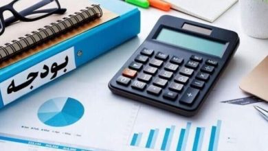 نامه 180 اقتصاددان به رئیس جمهور بدون ملاحظه محدودیتهای اجرایی دولت نوشته شده/ بودجه در ایران سندمالی نیست، سند سیاسی است