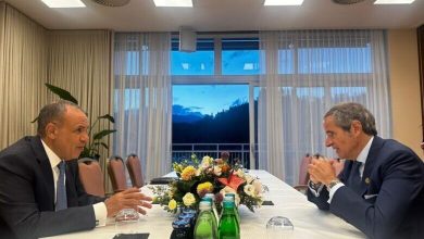 رایزنی وزیر خارجه مصر با گروسی درباره ایران