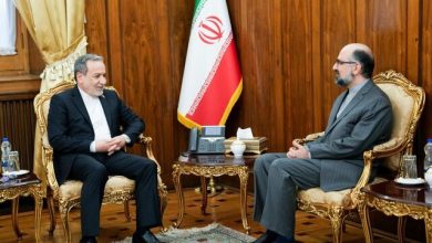 تاکید عراقچی بر استفاده از ظرفیت بلژیک در سطح اتحادیه اروپا