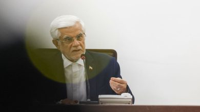 حمایت روزنامه دولت از معاون اول رئیس جمهور در برابر حملات تندروها / مقام دولتی از اظهارنظر صریح درباره دوتابعیتی بودن فرزند عارف خودداری کرد