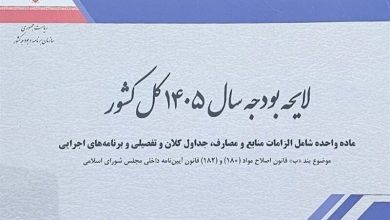 انتقاد روزنامه رئیس شورای اطلاع رسانی دولت از لایحه بودجه/ نه شفاف است نه حلال مشکلات/ شرکتهای دولتی و شبه دولتی همچنان پول می خورند