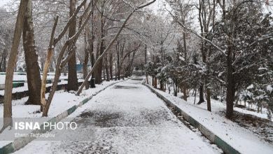 هشدار برای سرمای کم‌سابقه در ۲۶ استان / بارش برف و باران در ۲۷ استان