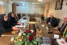  تاکید بر افزایش سهولت دسترسی بازنشستگان به خدمات بیمه تکمیلی درمان