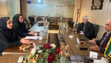  تاکید بر افزایش سهولت دسترسی بازنشستگان به خدمات بیمه تکمیلی درمان