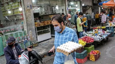 برنج ۱۶۴ درصد گران شد، مرغ و گوشت ۵۰ درصد